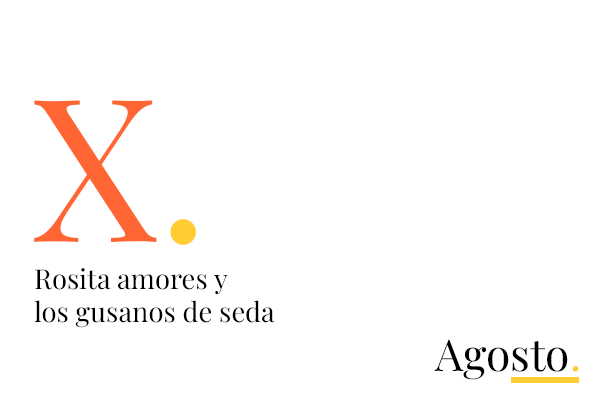 X. Rosita Amores y los gusanos de seda
